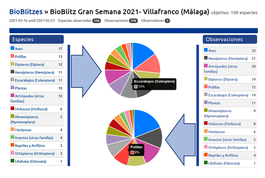 Tablas y gráficos Gran Semana 2021 - Villafranco (Málaga); adaptados de Observation.org 