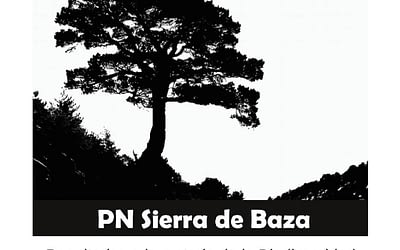 Resultados del Bioblitz Sierra de Baza 2017