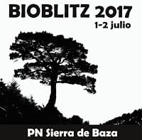 Bioblitz 2017 – Baza