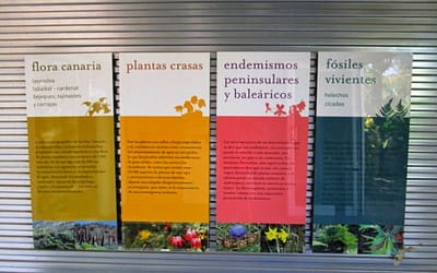 Julio 2014: Flora canaria y mediterránea en el Jardín Botánico.