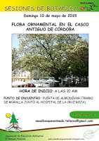 Mayo 2015: Flora ornamental en el casco antiguo de Córdoba.