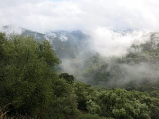Paisaje con niebla en el Valle del Genal