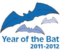 Año internacional de los murciélagos
