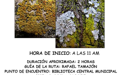 Ruta botánica 2-12-2018: “Los líquenes de la ciudad de Córdoba”