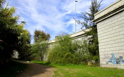 Octubre 2014: un paseo por la margen derecha del Guadalquivir junto al Jardín Botánico.