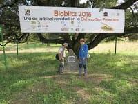 Bioblitz Dehesa San Francisco-2016