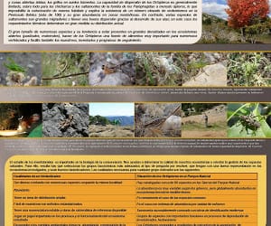 POSTER «Muestreos de Ortópteros en el P.N. Sierras de Cazorla, Segura y Las Villas»