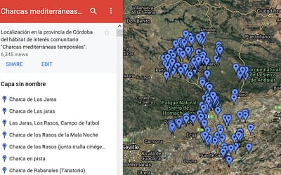 Charcas mediterráneas temporales en las provincias de Córdoba, Málaga, Sevilla y Granada