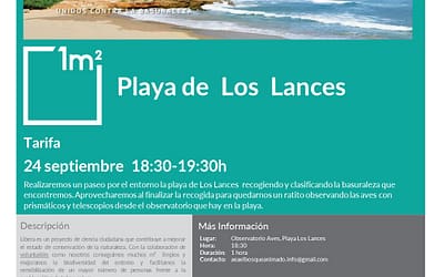 Basuraleza 1m2 Proyecto Libera Septiembre 2022 Playas