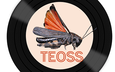 TEOSS: los sonidos de ortópteros en Europa