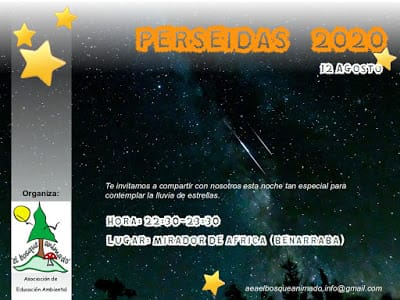 Cartel Lluvia de estrellas Perseidas 2020 AEA Bosque Animado