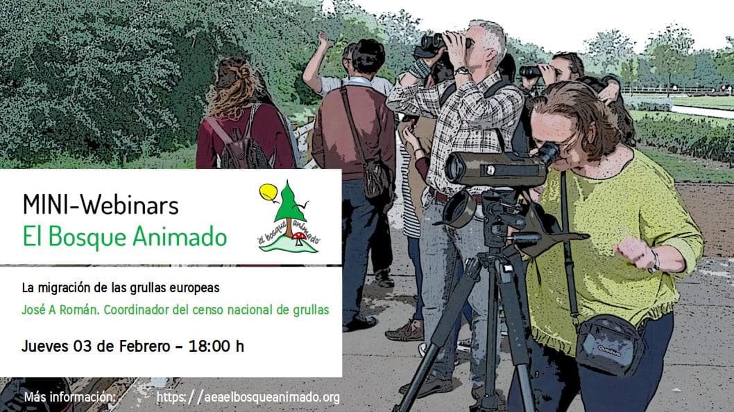 Anfibios de Andalucia Mini Webinar Animado
